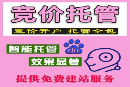 精准营销之道：百度竞价代理案例剖析